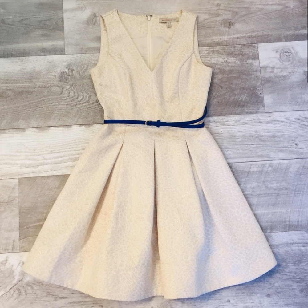 Banana republic dress